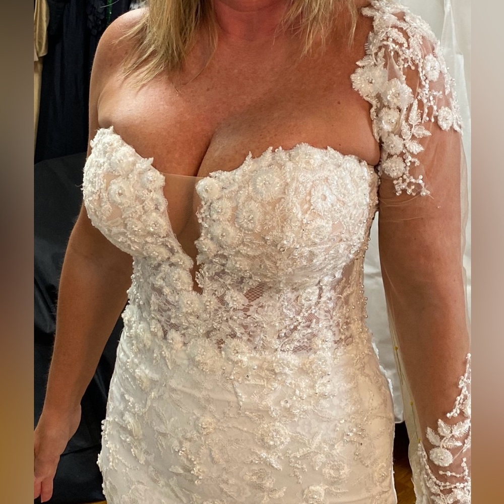 Designer PRONOVIAS PRIVEE Wedding Dress: JAMEELA w/ CUSTOM detach sleeves - Picture 5 of 14